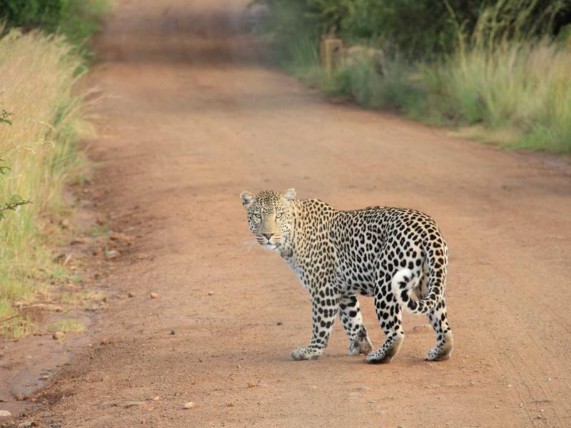 引力波涟漪<br>qyo4ufag.cn 时空震颤记录